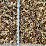 🦋 JH Collectibles Vintage Brown Yellow Floral Midi Skirt Size 14 Photo 4