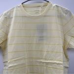 Everlane The Organic Cotton Short Sleeve Striped Crew Tee Shirt Sz L NEW Photo 1