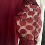 Anthropologie Sparrow Sheer Polka Dot Sleeve Sweater Top Size Medium Photo 3