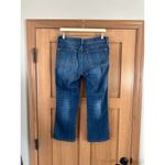 Pilcro Anthropologie  & The Letterpress Stet Mid Rise Cropped Jeans Women’s sz 29 Photo 3