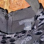 Ann Taylor NWT  Black Velvet Cheetah Leopard Sleeveless Flounce Mini Dress Size 8 Photo 4