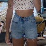 Brandy Melville Shorts Photo 0