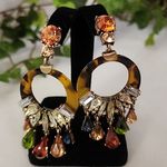 Acrylic Tortoise with Multi Color Stones Drop Earrings Photo 5