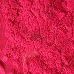 Victoria's Secret Victoria’s Secret Y2K Cherry Lace Bodycon Slip Photo 4