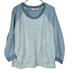 LL Bean Blue French Terry Color Block Raglan Baseball Crew Neck Sweatshirt LARGE Photo 0