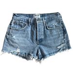 AGOLDE Parker Vintage Cut-Off Shorts in Swampmeet Button Fly Size 25 Photo 6