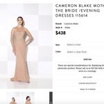 Cameron Blake Mother of the Bride Evening Formal Dress 115614 Platinum Sold Out Size 6 Photo 1