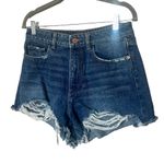 DL1961 NWOT  Cleo Solana High Rise Shorts Photo 3