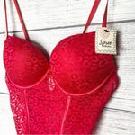 NWT Spree Intimates Pink Lace Sheer Mesh Push Photo 1