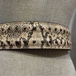 BCBGMAXAZRIA Cream and Black Belt Photo 4