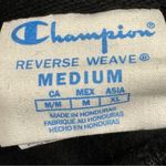 Champion  X Steffi Lynn Resolve To Evolve Reverse Weave Boyfriend Hoodie Photo 9