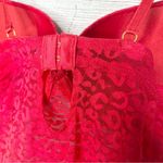 NWT Spree Intimates Pink Lace Sheer Mesh Push Photo 10