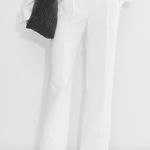 Aritzia Wilfred The Effortless Pant ™ Linen Photo 0