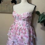 Pristine Cutie Light Pink Floral Organza Bustier Midi Dress Size XL Photo 2