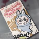 Exciting macaron labubu Photo 1