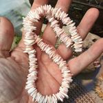 Puka pink shell choker & earring set vintage Pink Photo 2