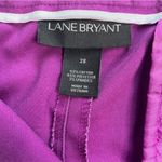 Lands' End Womens Cop Purple Pants Slack Plus Size 28 u Photo 4