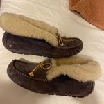 UGG Slippers Photo 0