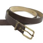 3/$30 Brown Snakeskin Skinny Belt w/Gold Buckle Photo 0