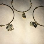 Lilly Pulitzer Bangle Trio Photo 1