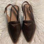 Sperry  Shoes size 7 BNWOT color dark green so beautiful leather upper Photo 1