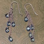 The Limited  Silver and Blue Dangle Earrings Photo 0