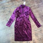 Bardot purple velvet chocker neck XS night out mini dress Photo 1
