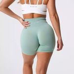 NVGTN NWT  Small Sage Green Pro Shorts Photo 0