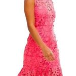 Paper Dolls Paper Doll High Neck Peplum Lace Dress, New with Tag Photo 0