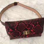 Red/Black Snake Print Belt Bag Red Photo 0