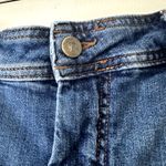 Pilcro by Anthropologie Denim Shorts Sz 12 Blue Photo 1