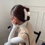 Beautiful set of 4 hair claws Photo 1