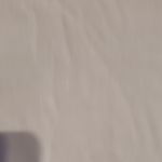 LuLaRoe  Liv T White Short Sleeve Top with Gray Trim Photo 2