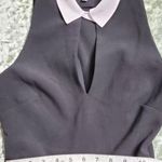 Likely Fit & Flare White Collar Black Dress Photo 6
