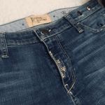 Anthropologie  Holding Horses Distressed Denim Jean Photo 1