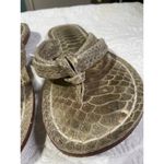 Bernardo  Gold Snake Print Leather Sandals Size 7 Photo 1