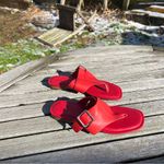 Caslon New Circa Red Leather Thong Sandals size 5 Photo 1