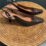Etienne Aigner  Elegant Brown Slingback Heels Photo 2