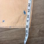 PacSun Light Tan Corduroy Pants with Blue Accents Photo 7
