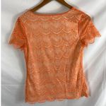 Banana Republic  Lace overlay scoop neck short sleeve top Small Photo 3