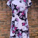 Inc international  Concepts Petite Lavender Textured Floral Mesh Stretch Dress PL Photo 0