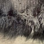 Forever 21  Black Glitter Ribbed Top Photo 7