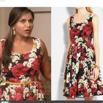 Dolce & Gabbana NWOT  poppy print dress Size 40 Photo 1