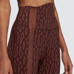 Adidas x Ivy Park Icy Park Monogram Sheer Panel Tights in Wild Brown Photo 6