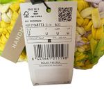 Mango Mini Braided Handmade Green Yellow Handbag Purse NWTs Photo 6