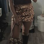 Brown Sequin Skirt Photo 1
