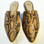 Paige Alia Snakeskin V-Notch Vamp Pointed Toe Slide Mules Sz 8 💛 Photo 4