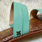 Sam Edelman  Haydee Tiffany Green Sandals Photo 8