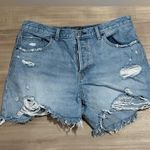 Abercrombie & Fitch EUC A&F Shorts Photo 1