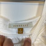 Downeast  White Cap Ruffle Sleeves Lace Time Blouse Anthropolog Medium EUC #2540 Photo 5